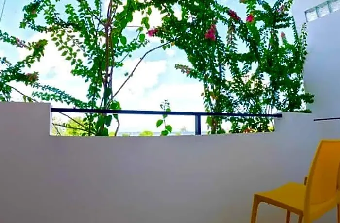 Divers Plumeria 호텔 3*